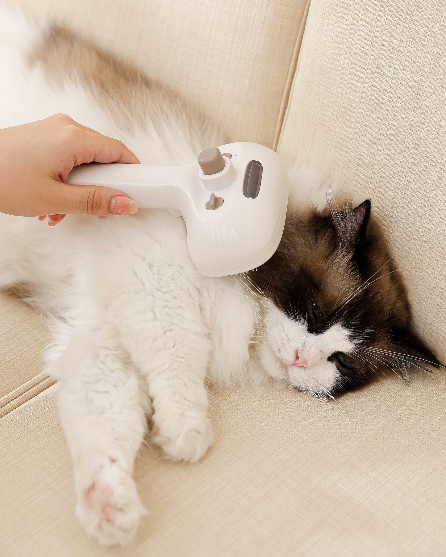 The Viral Mist Pet Brush
